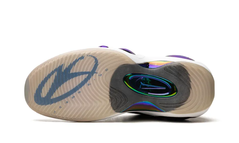 Nike Basketball Air Zoom Flight 95 'Jason Kidd Career Pack Dallas Mavericks' 