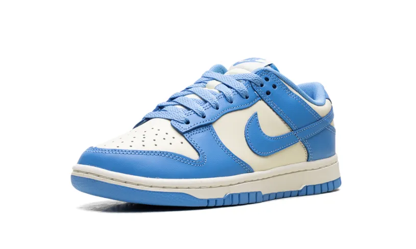 Nike Dunk Dunk Low Retro 'University Blue' 