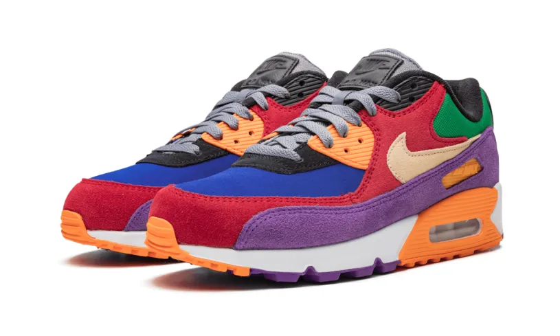 Nike Air Max Air Max 90 'Viotech' 