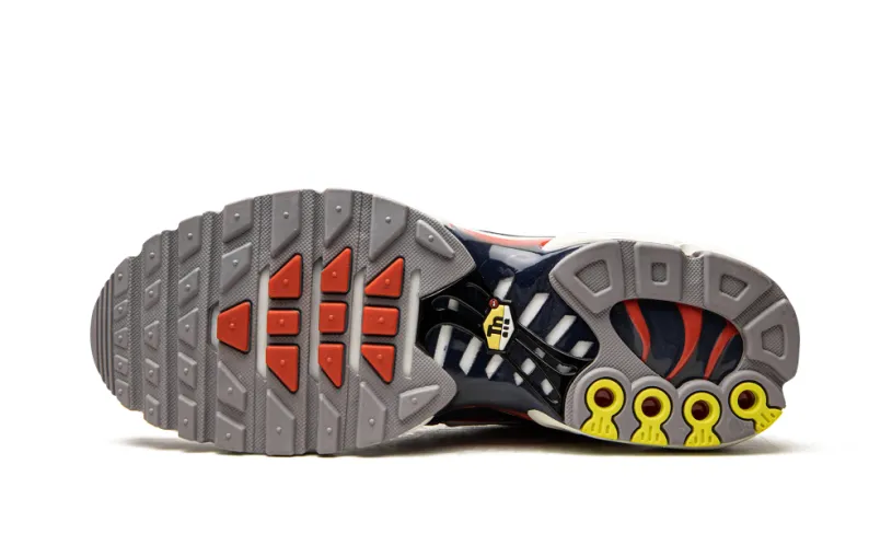 Nike Air Max Air Max Plus 'USA Grey' 