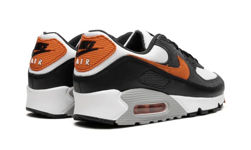 Nike Air Max Air Max 90 'Starfish' 