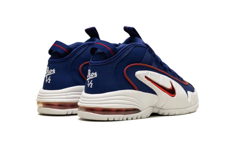 Nike Basketball Air Max Penny Le (Gs) 