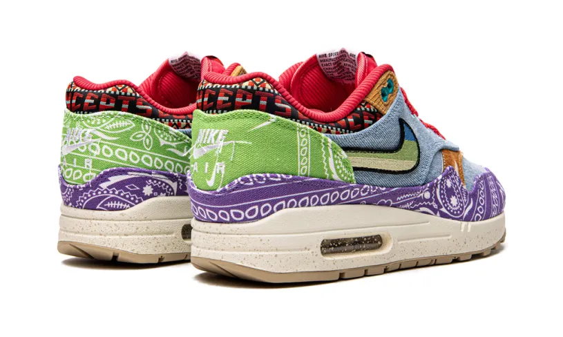 Nike Air Max Air Max 1 SP 'Concepts - Wild Violet - Special Box' 