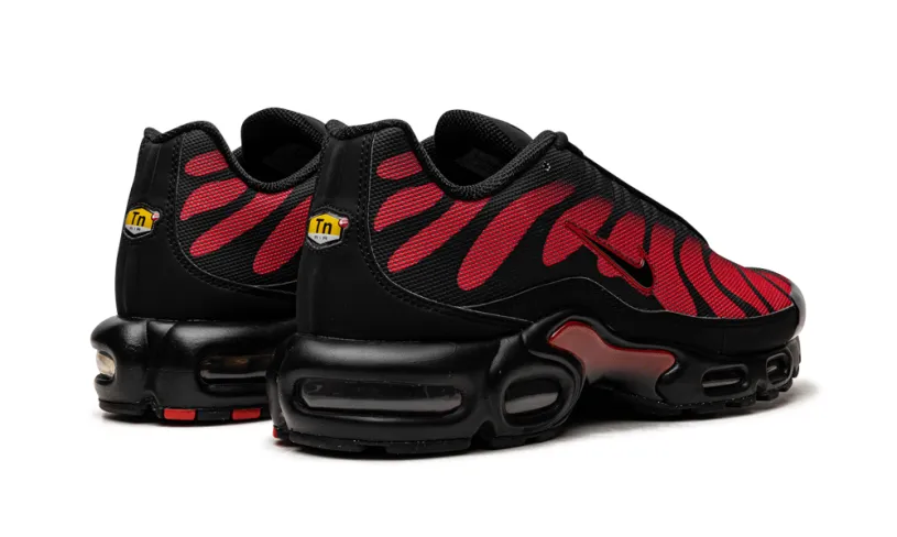 Nike Lifestyle Air Max Plus 'Bred Reflective'