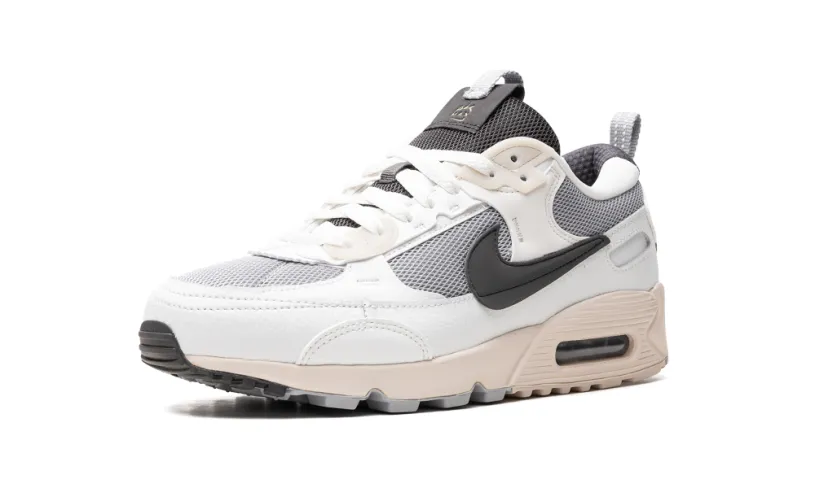 Nike Air Max AIR MAX 90 FUTURA WMNS 'Wolf Grey Summit White' 