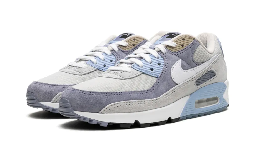 Nike Air Max Air Max 90 'Ashen Slate' 