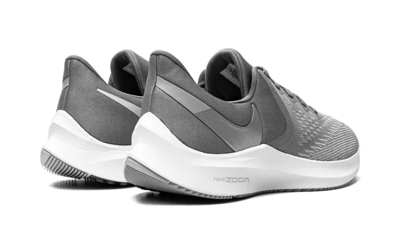 Nike Lifestyle ZOOM INFLO 6 MNS WMNS 