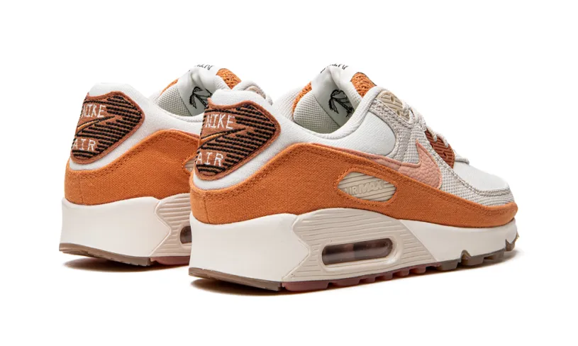 Nike Air Max Air Max 90 'Sun Club'