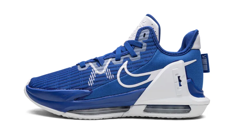 Nike Basketball Lebron Witness VI TB