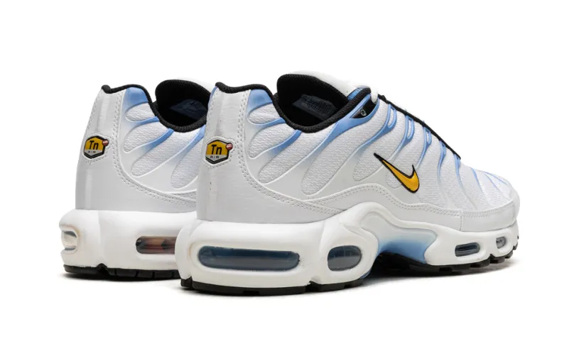 Nike Air Max Air Max Plus 'White University Blue' 