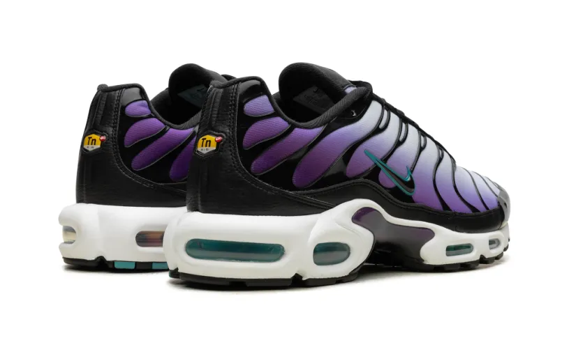 Nike Air Max Air Max Plus 'Reverse Grape' 