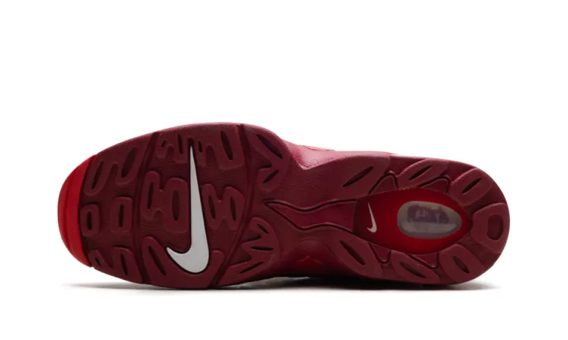 Nike Air Max Air DT Max '96 'Love Letter To Connie' 