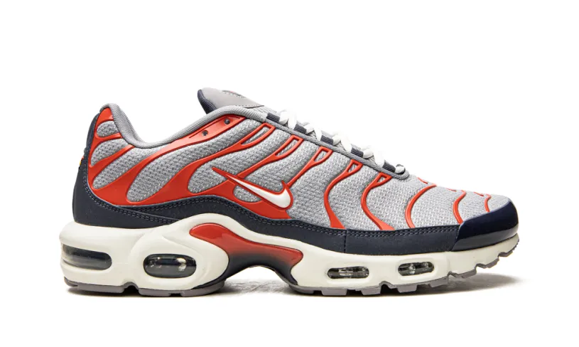 Nike Air Max Air Max Plus 'USA Grey' 