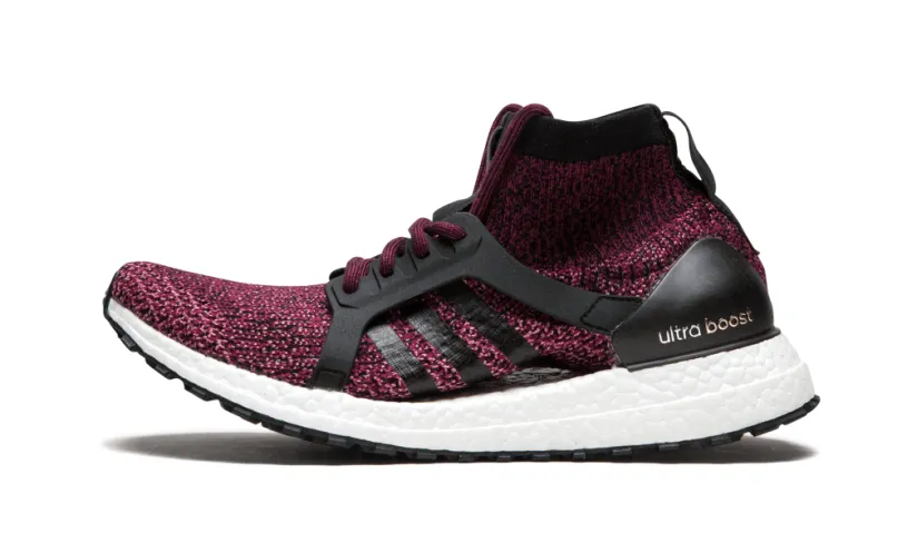 Adidas Ultraboost ULTRABOOST X ALL TERRAIN WMNS 