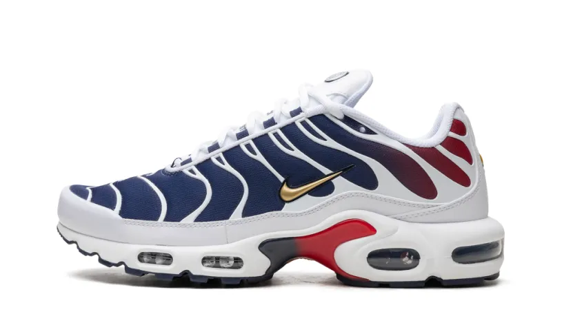 Nike Air Max Air Max Plus 'PSG' 