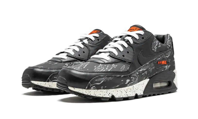 Nike Air Max Air Max 90 Premium 'Atmos'