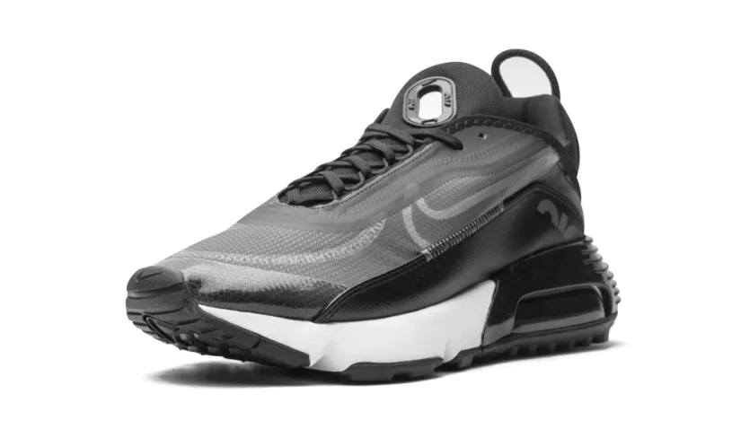 Nike Air Max AIR MAX 2090 'Black   Wolf Grey' 