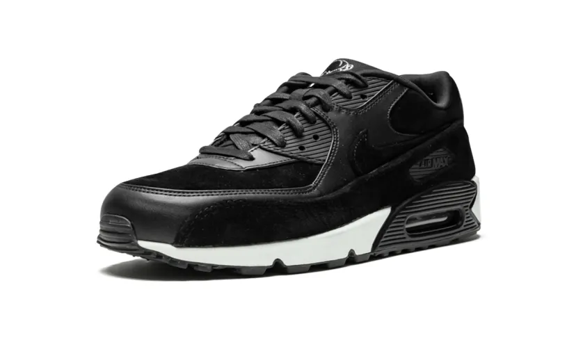 Nike Air Max Air Max 90 Premium 'Rebel Skulls' 