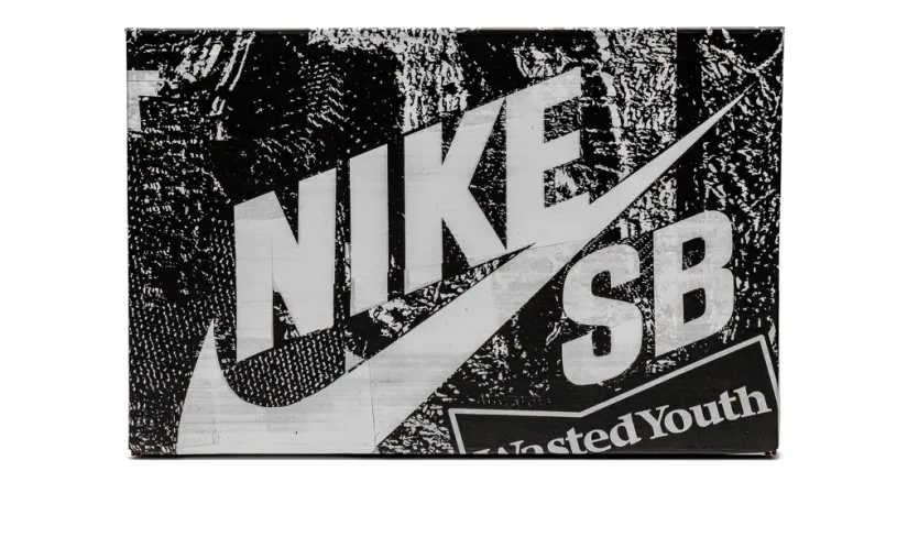 Nike Dunk SB Dunk Low 'Wasted Youth - Special Box' 