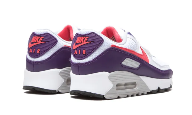 Nike Air Max Air Max 90 WMNS 'Eggplant' 