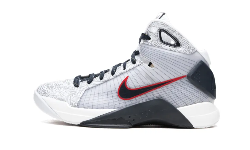 Nike Dunk Hyperdunk OG 'United We Rise' 