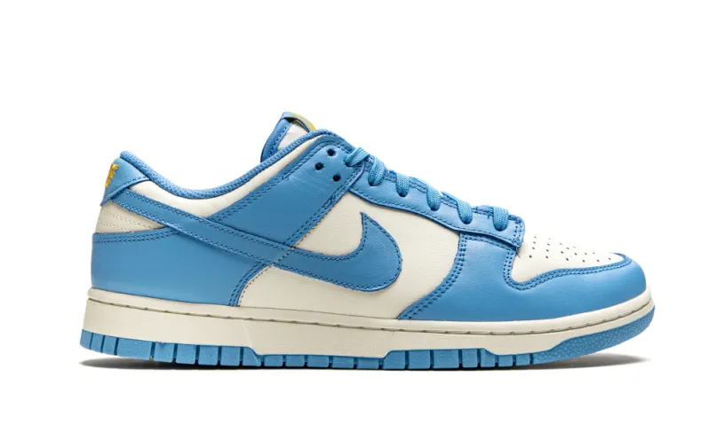 Nike Dunk DUNK LOW WMNS 'Coast' 