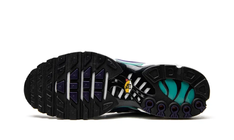 Nike Lifestyle Air Max Plus 'Grape' 