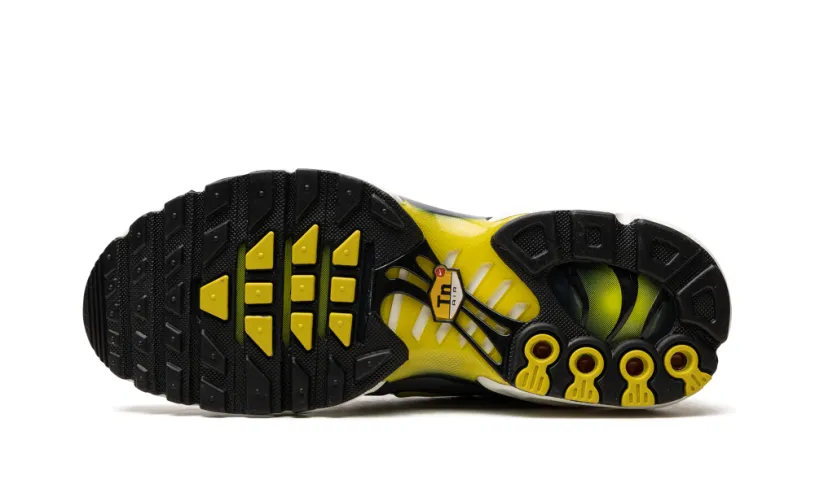 Nike Air Max AIR MAX PLUS WMNS 'VIOLET DUST' 