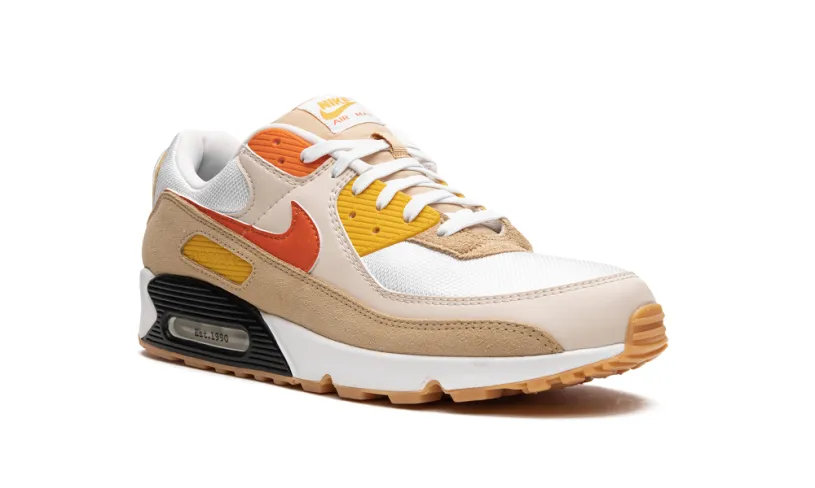 Nike Air Max Air Max 90 'Pressure'