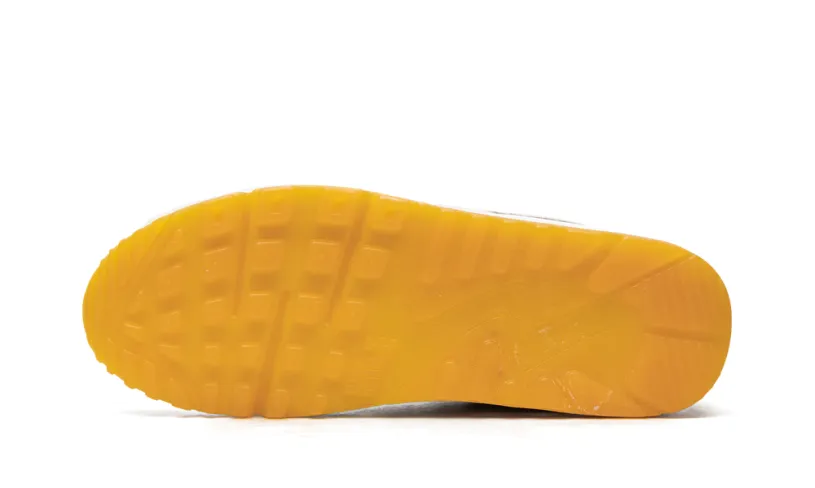 Nike Air Max Air Max 90 'Frank Rudy' 