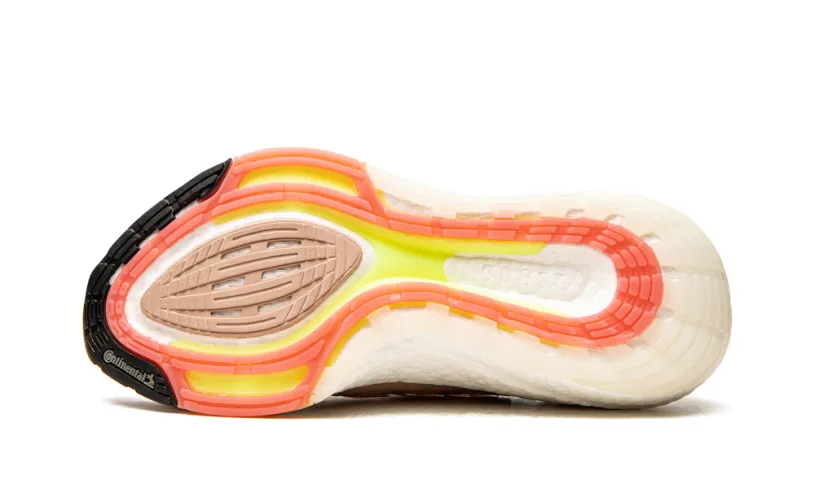 Adidas Ultraboost ULTRABOOST 21 WMNS 