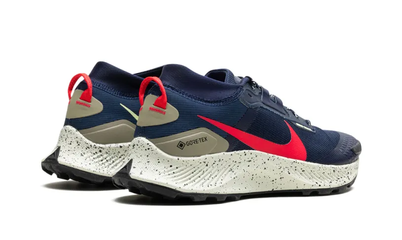Nike Lifestyle Pegasus Trail 3 GTX 'GORE-TEX' 
