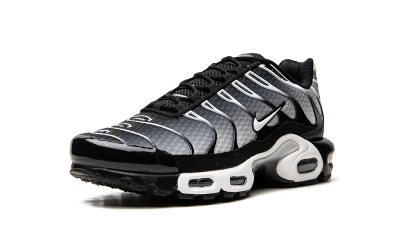 Nike Lifestyle Air Max Plus 'Black   Silver' 