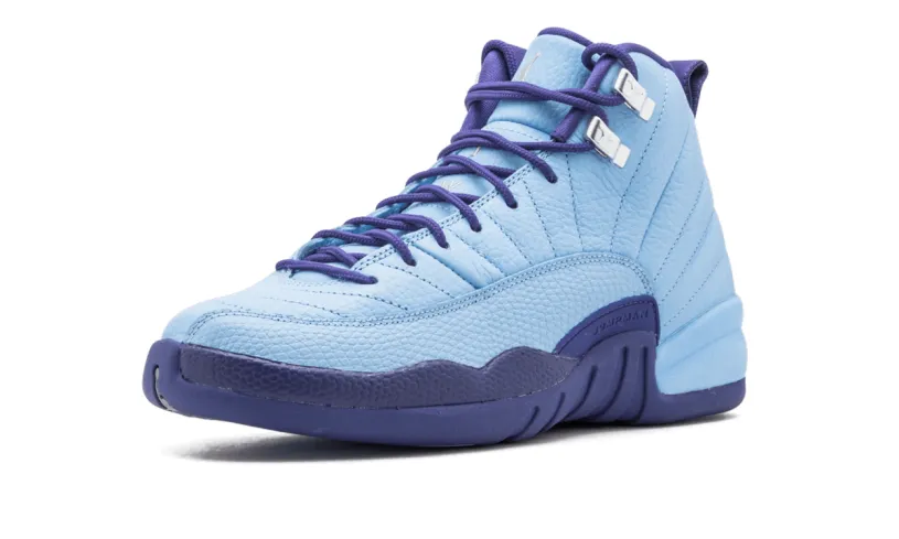 Air Jordan 12 Air Jordan 12 Retro GS 'Purple Dust' 
