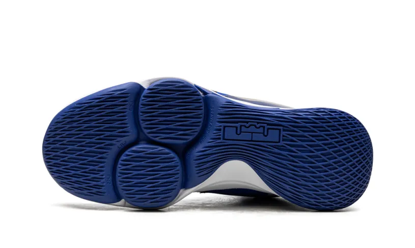 Nike Basketball LeBron Witness V 