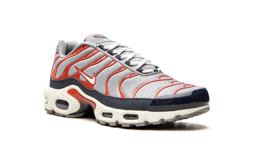 Nike Air Max Air Max Plus 'USA Grey' 