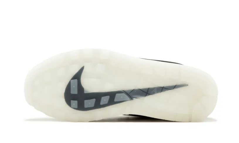 Nike Air Max Air Max 1 'DSM' 