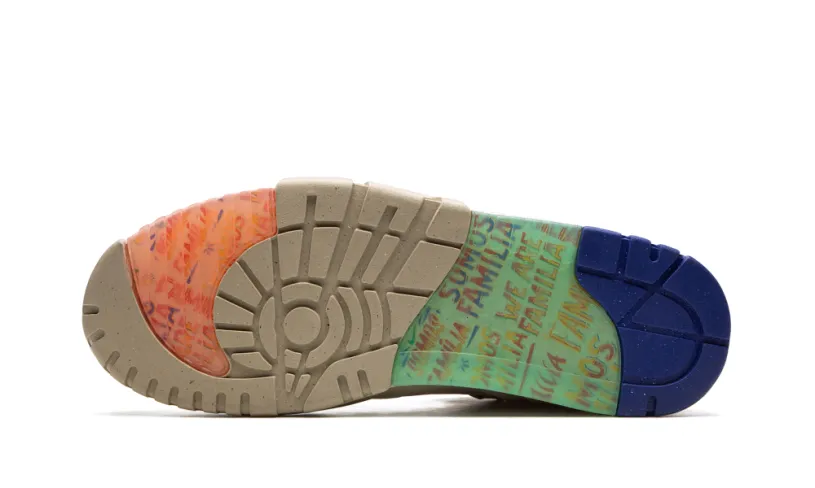 Nike Basketball Air Trainer 1 'La Familia' 