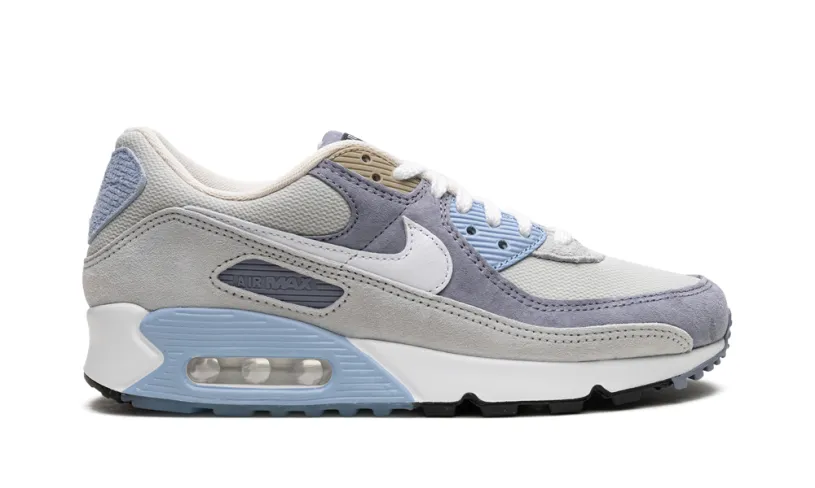 Nike Air Max Air Max 90 'Ashen Slate' 