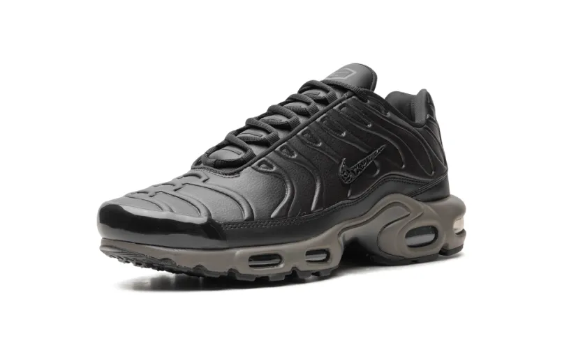 Nike Air Max Air Max Plus 'Black Tea   Petra Brown' 'Black Tea   Petra Brown' 