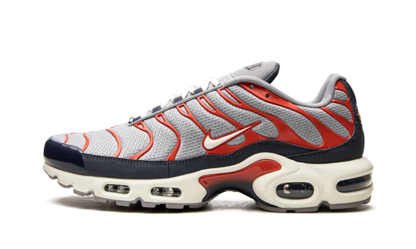 Nike Air Max Air Max Plus 'USA Grey'