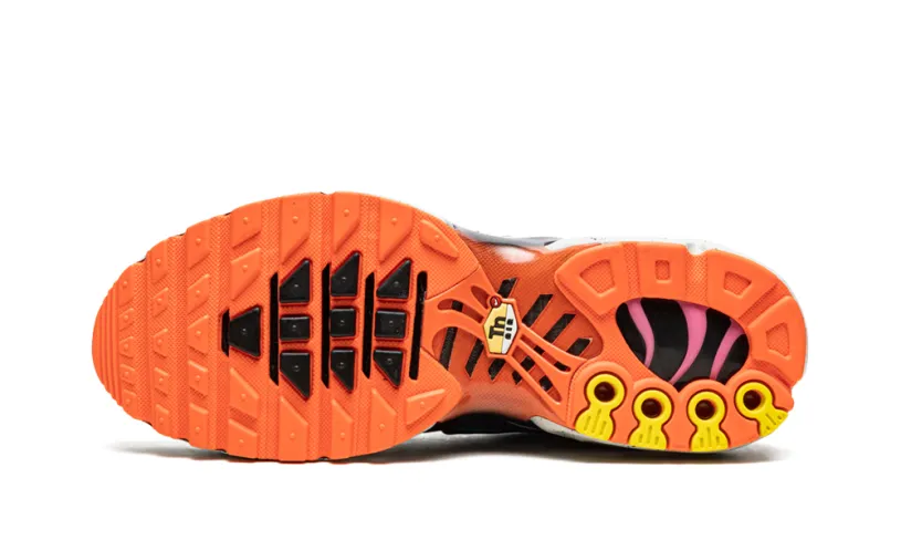 Nike Air Max Air Max Plus 