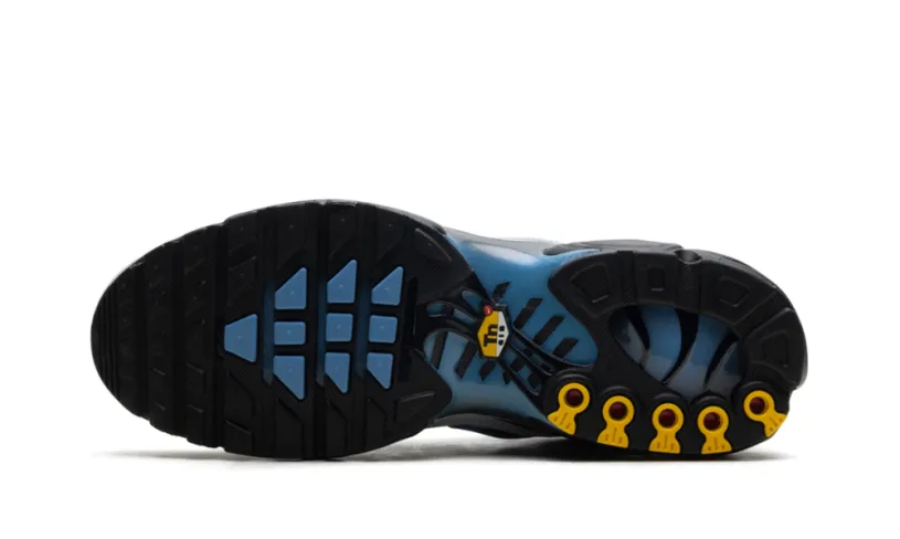 Nike Air Max Air Max Plus 'Grey University Blue Black' 