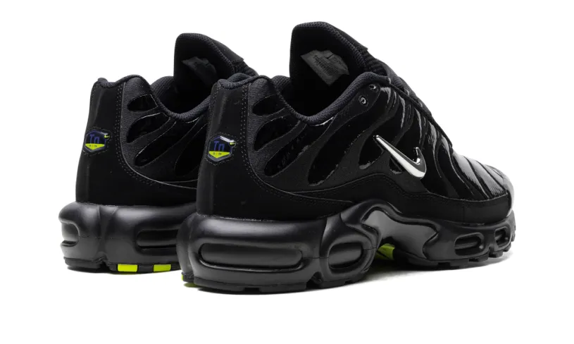 Nike Air Max Air Max Plus 'Metallic Black' 