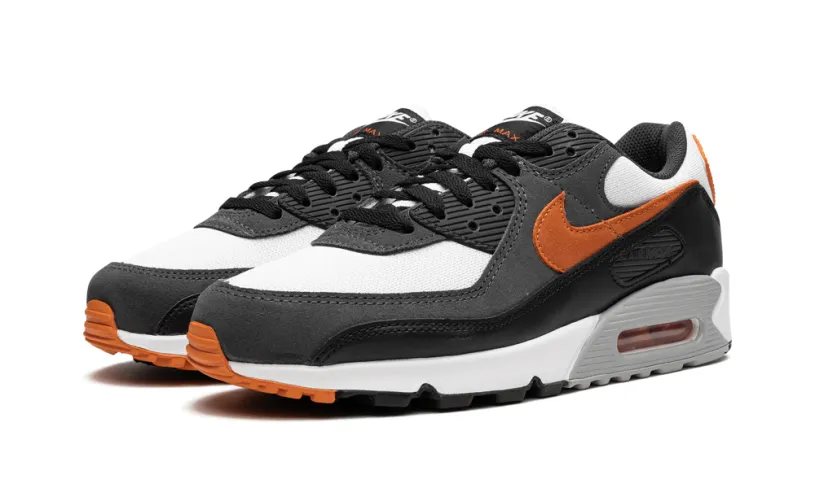 Nike Air Max Air Max 90 'Starfish'