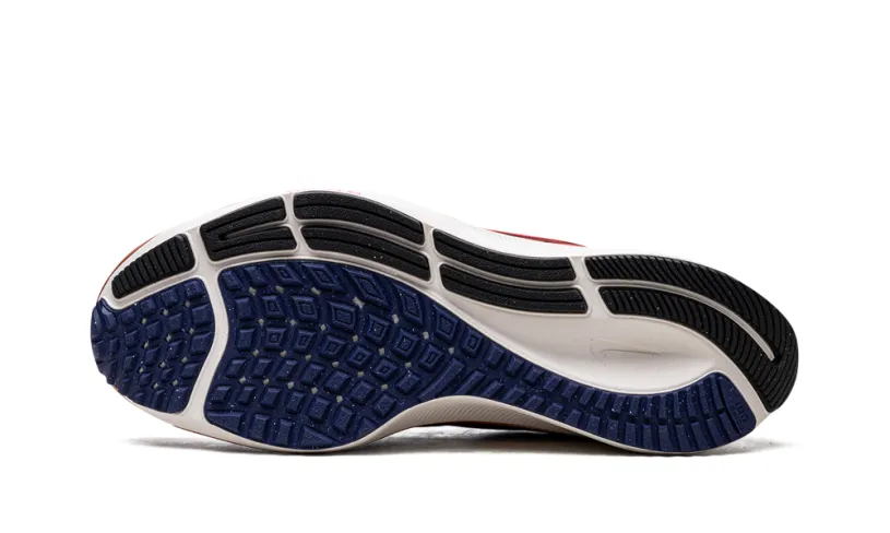 Nike Lifestyle ZOOM PEGASUS 38 MNS WMNS 