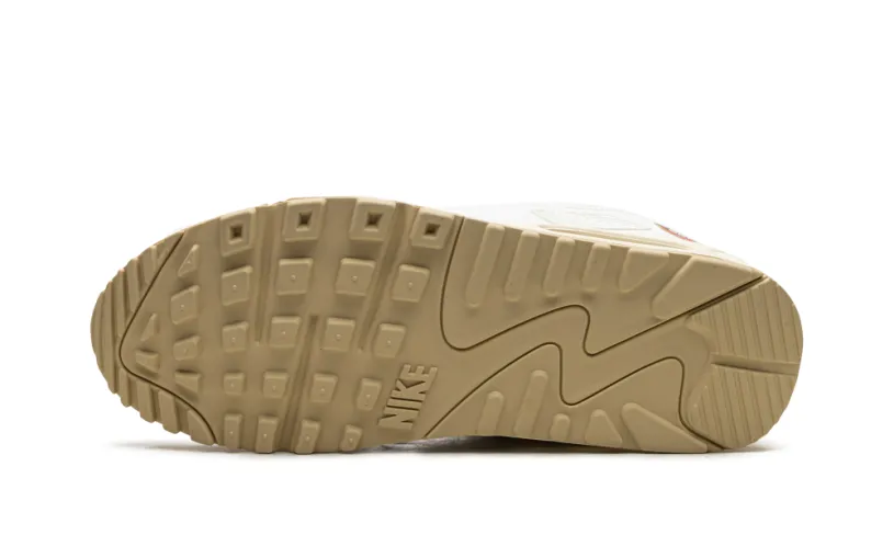 Nike Air Max AIR MAX 90 MNS WMNS 'The Future is Equal' 