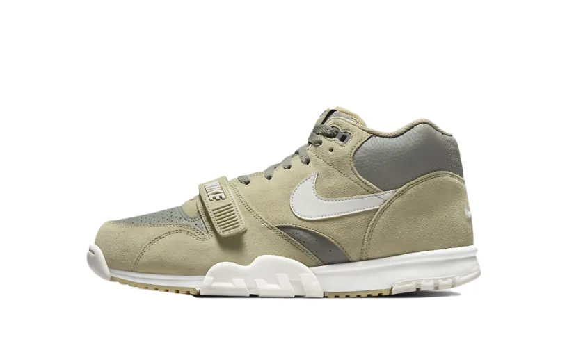 Air Trainer 1 'Neutral Olive' 