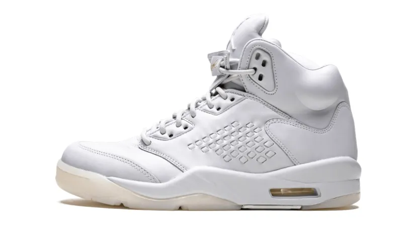 Air Jordan 5 Air Jordan 5 Retro Prem 'Pure Platinum' 