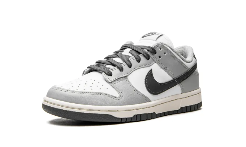 Nike Dunk DUNK LO MNS WMNS 'Light Smoke Grey' 